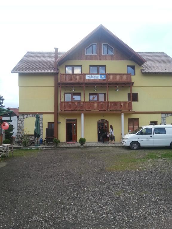 Pensiunea Floare De Colt Borsec Exterior photo